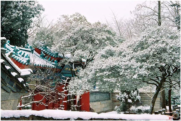 追踪访古，撩开宗教神秘的面纱