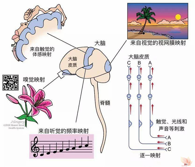 意识可以用科学来解释吗？