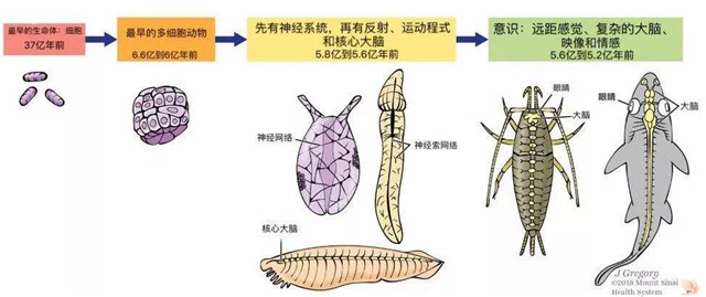 意识可以用科学来解释吗？