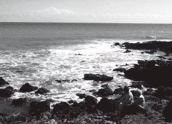 洪浪声息，巨流难渡 ―― 读《巨流河》后写