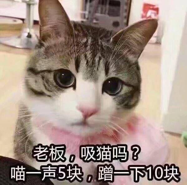 猫7439：来，来吸一吸