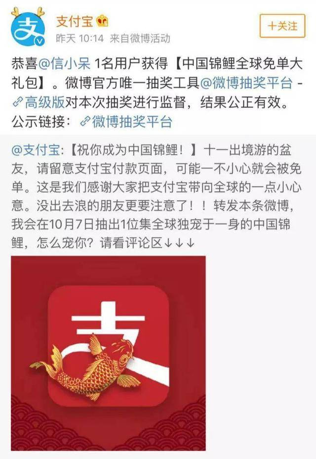 “信小呆”抽中“中国锦鲤”：“中大奖”英语怎么说？