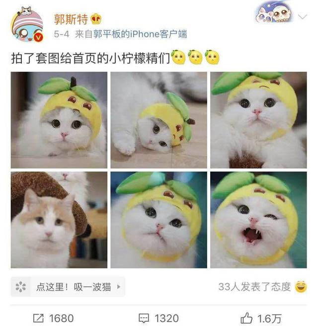 猫7439：来，来吸一吸