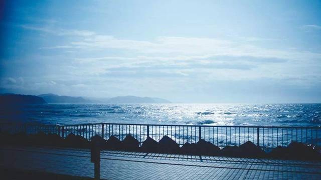 樱花与细雪：女性话语权的现代化诠释 ―― 《海街日记》