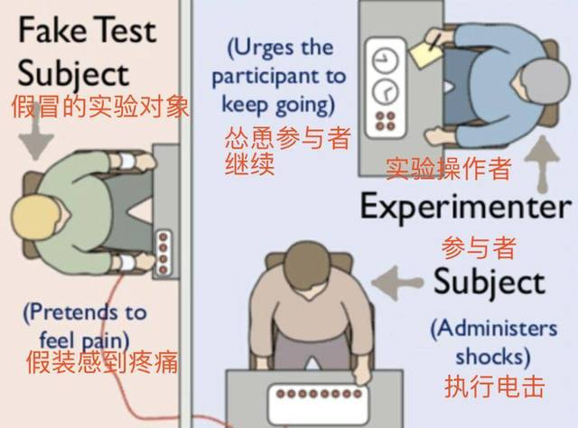 我们只是相互照顾的两个人 | 新剧《疯子》剧情详解