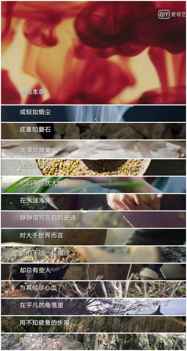 本草中华：用中药丈量我们的山川江海