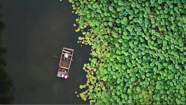 《本草中国》第二季：天地养药，良医泽世